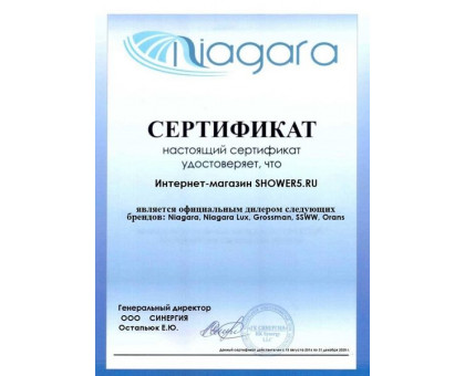 Душевая кабина Niagara Lux 7717W серебро